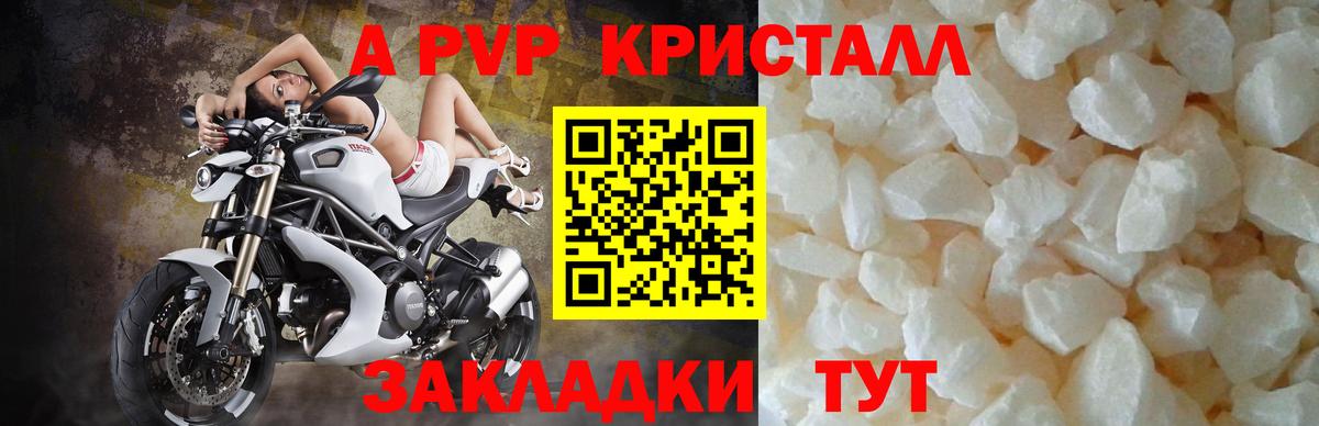 Alfa_PVP СК Сегежа