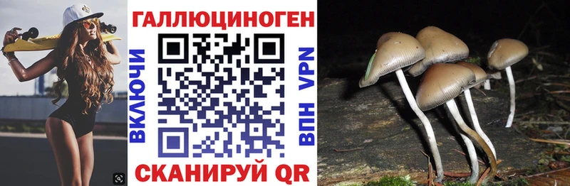 Псилоцибиновые грибы MAGIC MUSHROOMS  наркотики  Сегежа 