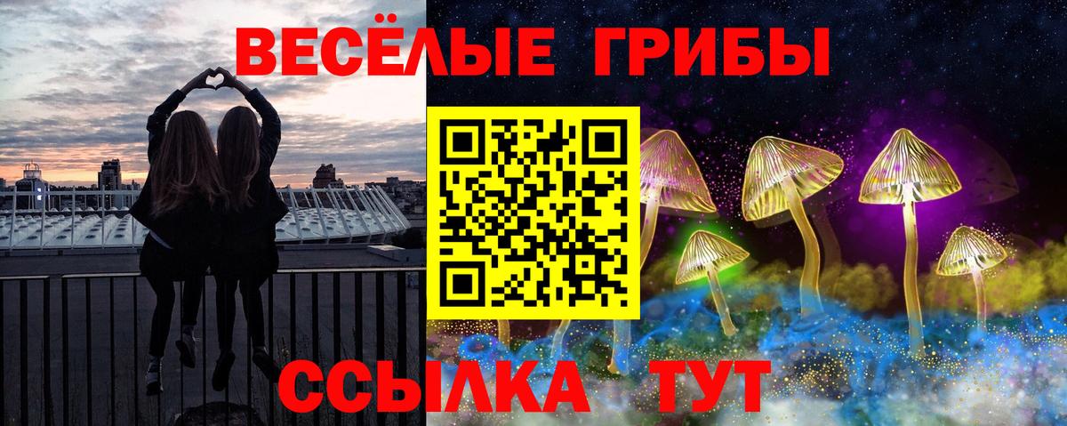 Галлюциногенные грибы ЛСД  Вход с VPN  Псилоцибиновые грибы GOLDEN TEACHER  Сегежа 